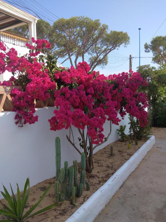Casa Playa De Mazagon Villa Exterior foto